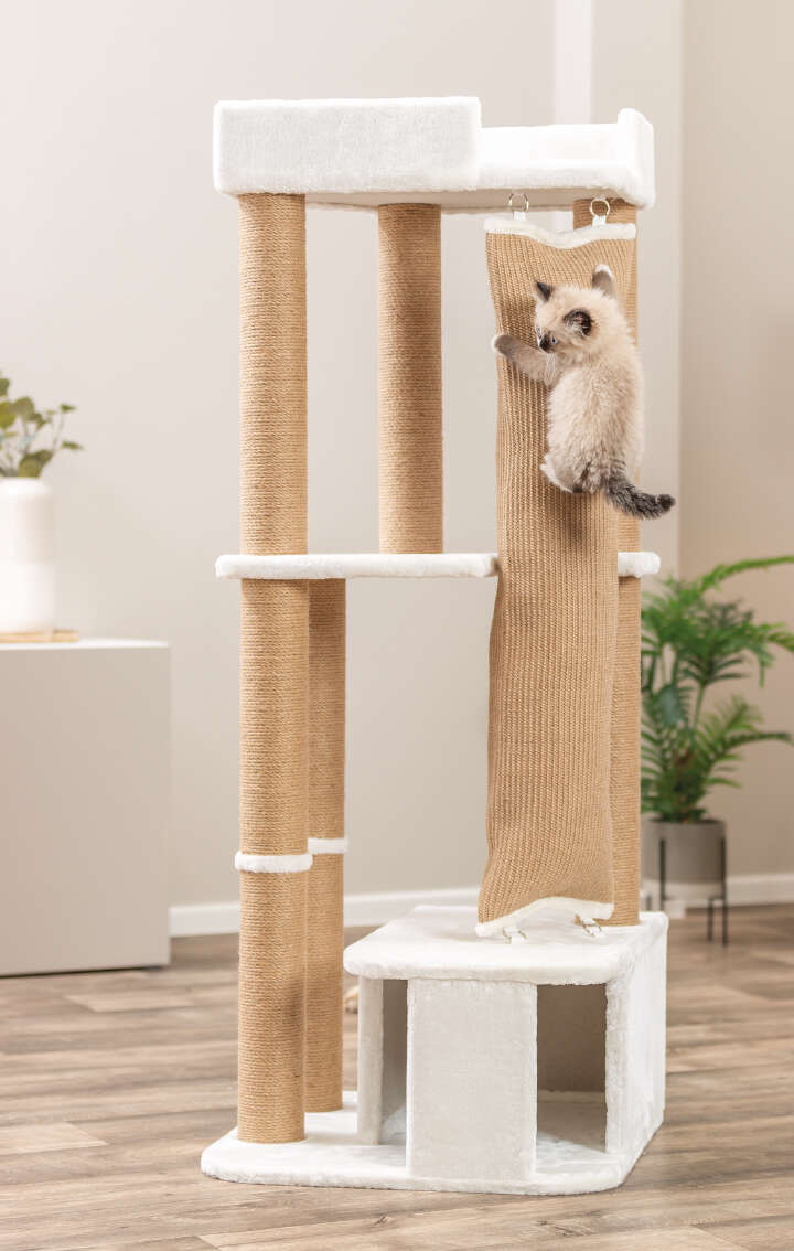 TRIXIE Kratzbaum Active